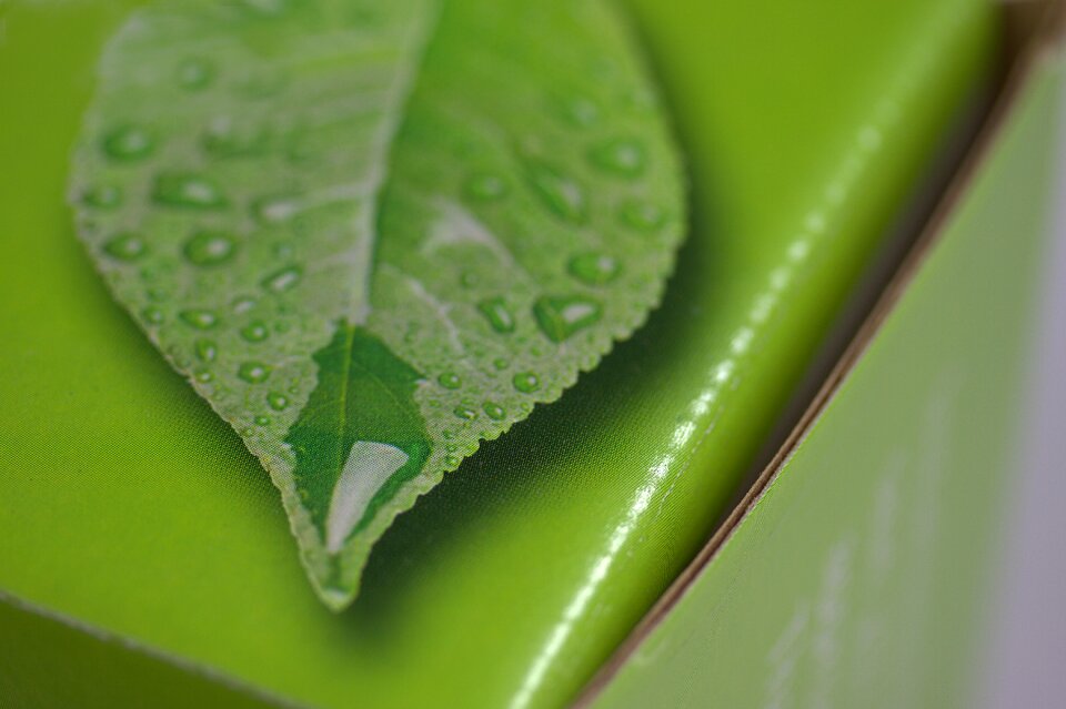 Green corrugated corrugate