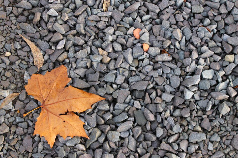 Gravel autumn nature