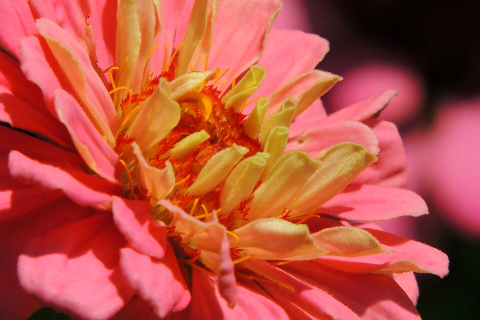 Pastel bright summer