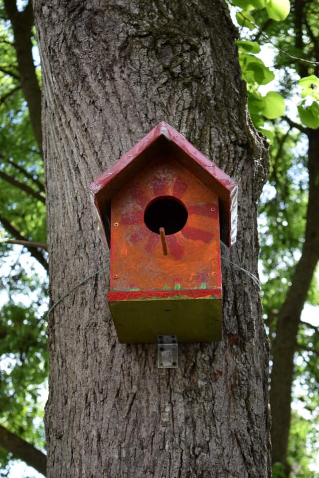 Bird home