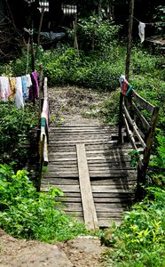 Myanmar burma wood