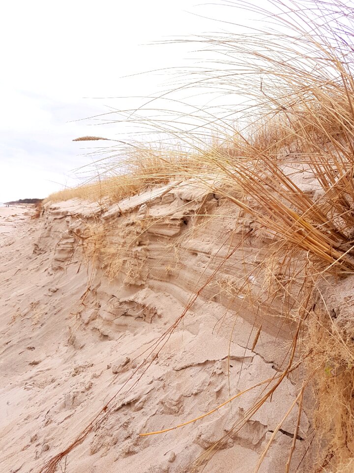 Sea sand beach