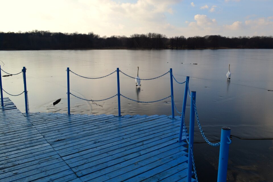 Frozen lake poznan