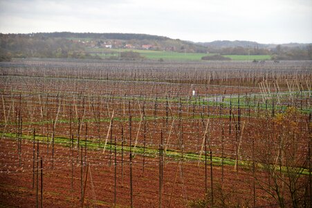 Hops cultivation wires