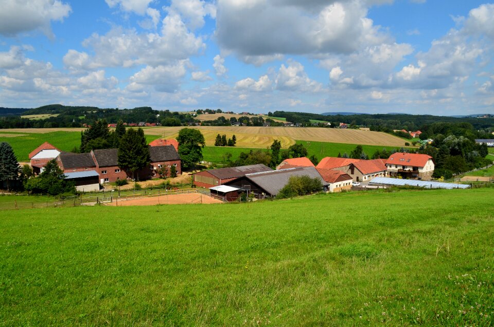 Landscape meadow pasture