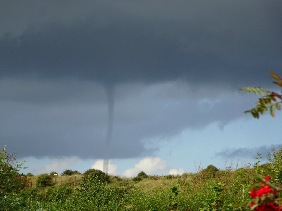 Forward natural phenomenon natural spectacle
