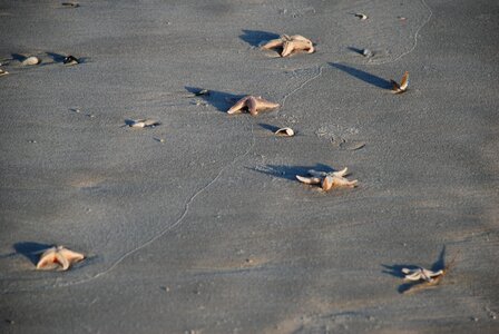 Vacations shadow flotsam