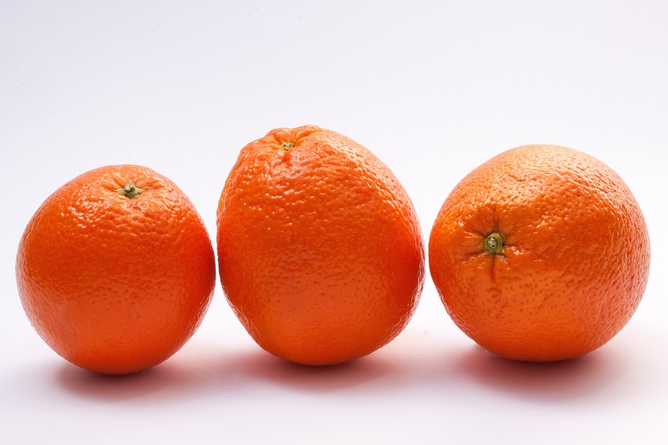 Citrus sinensis citrus fruit fruits