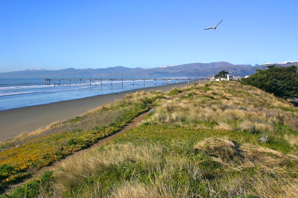 Beach christchurch