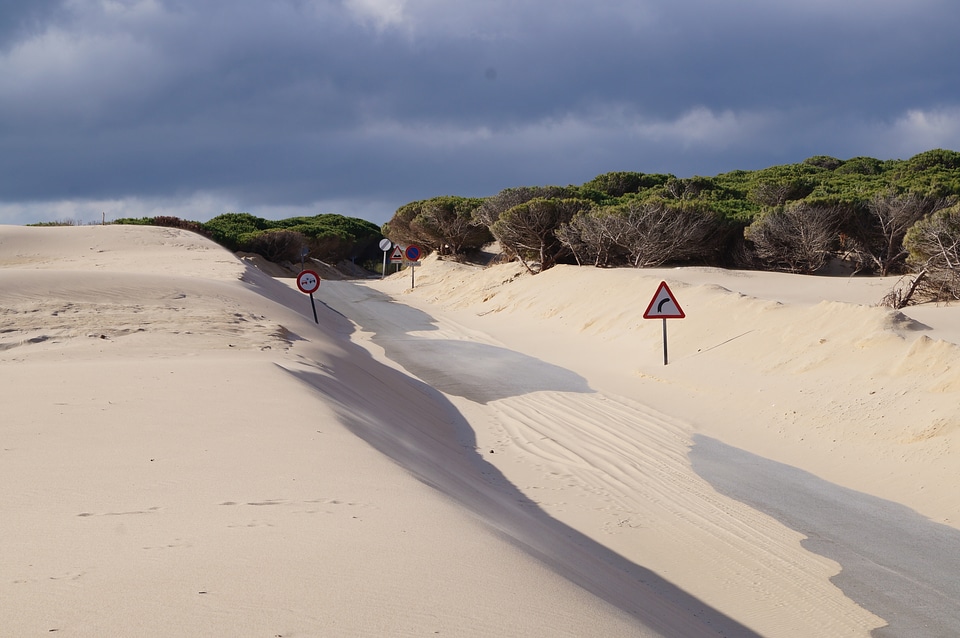 Desert sand nature