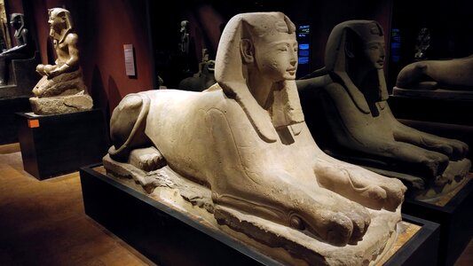Antiquity piemonte sphinx photo