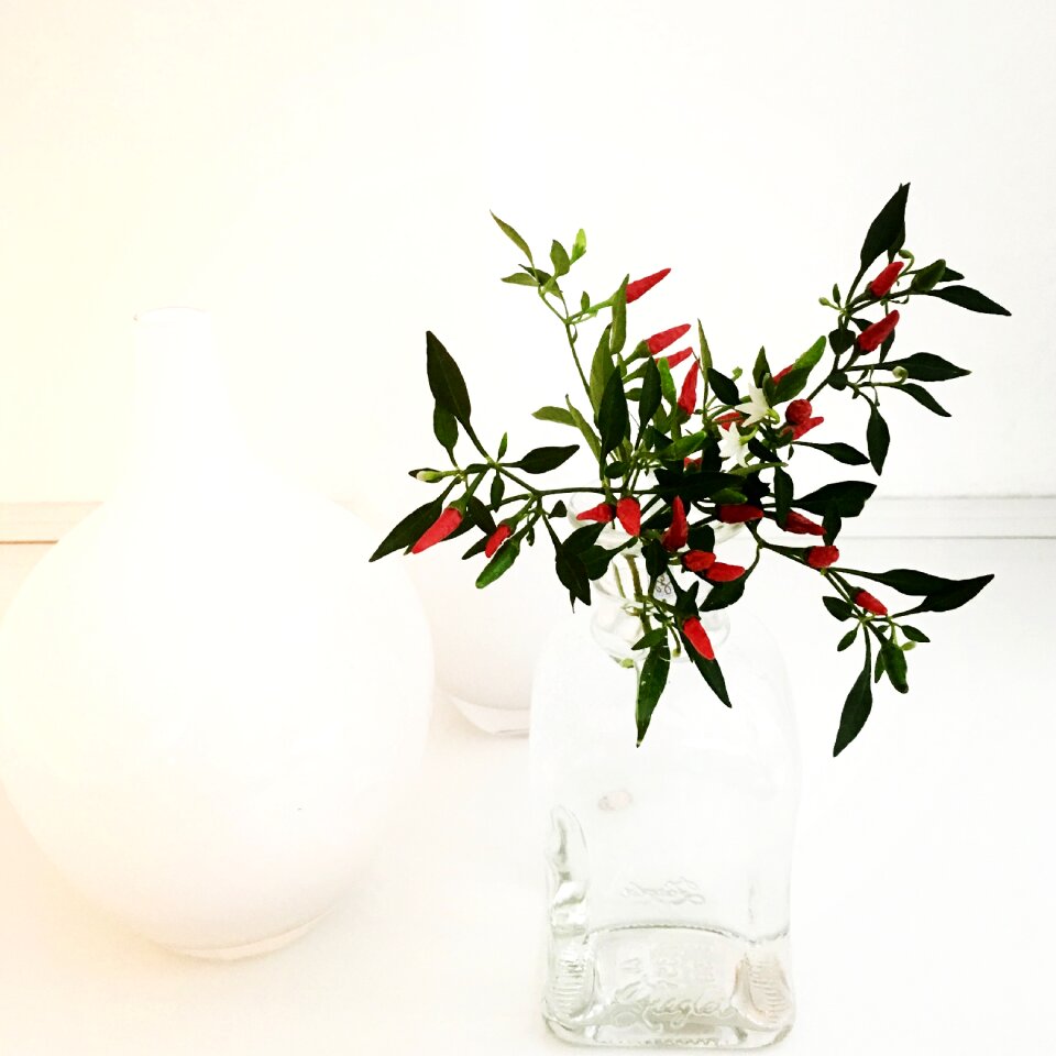 Paprika contrast mini-chili