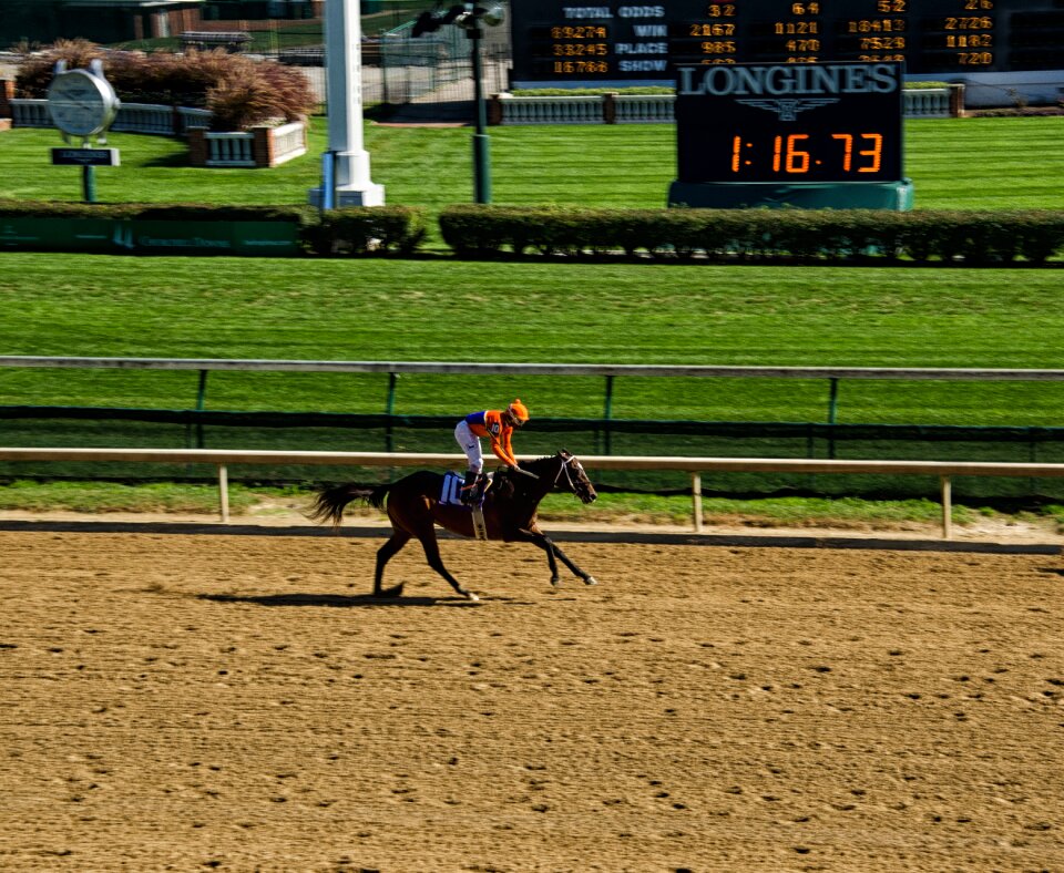 Horse racecourse churchill downs