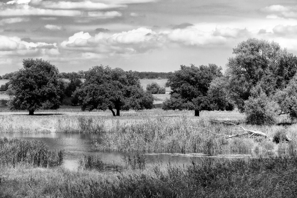 River black white water photo