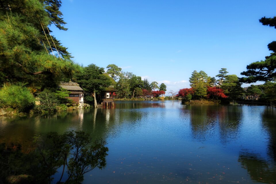Landscape water trees