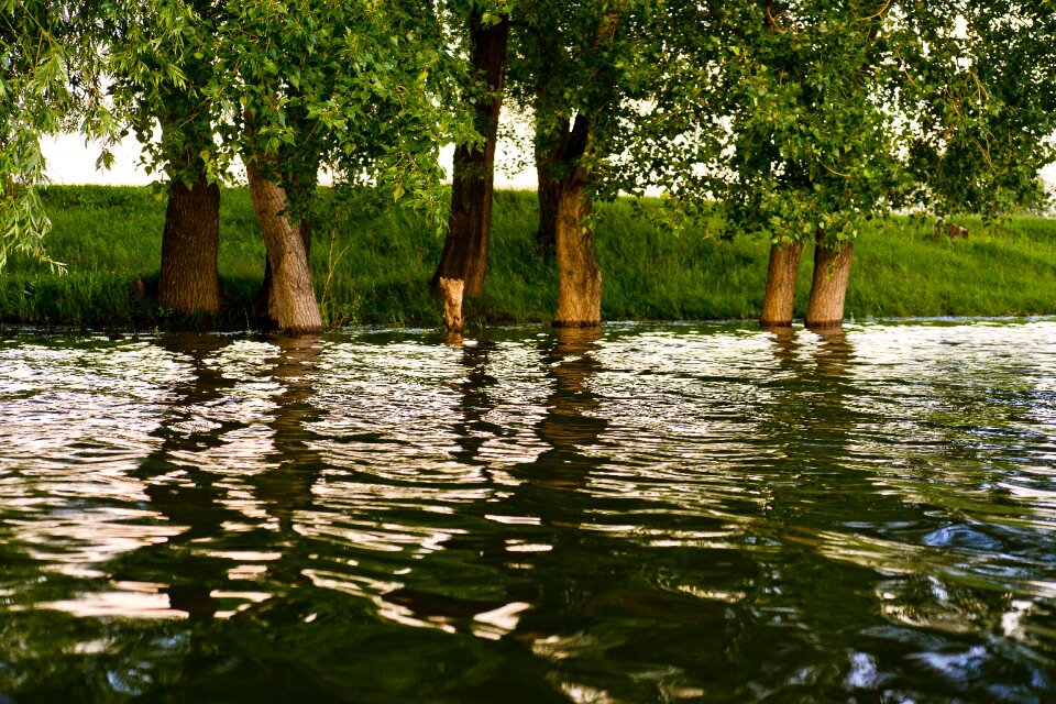 Beautiful nature green