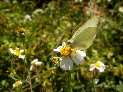 Spring nature beauty