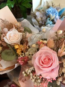 Flower rose pink
