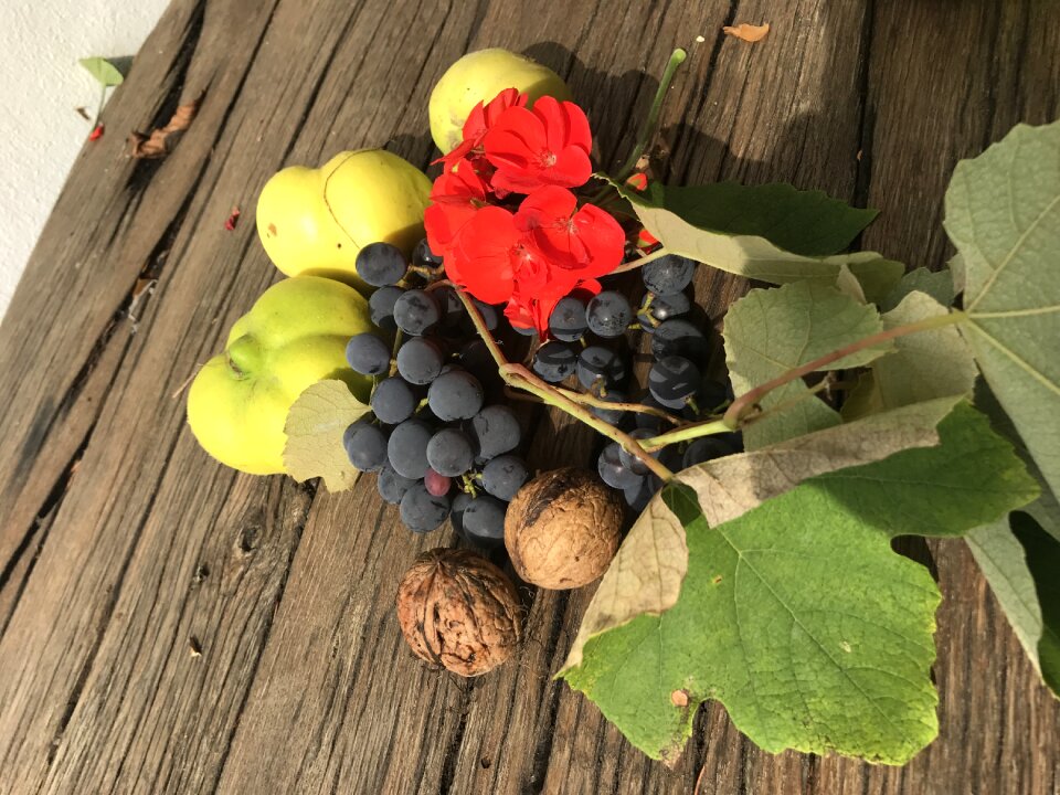 Garden quince grapes