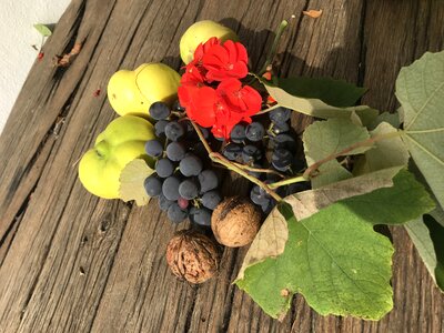 Garden quince grapes