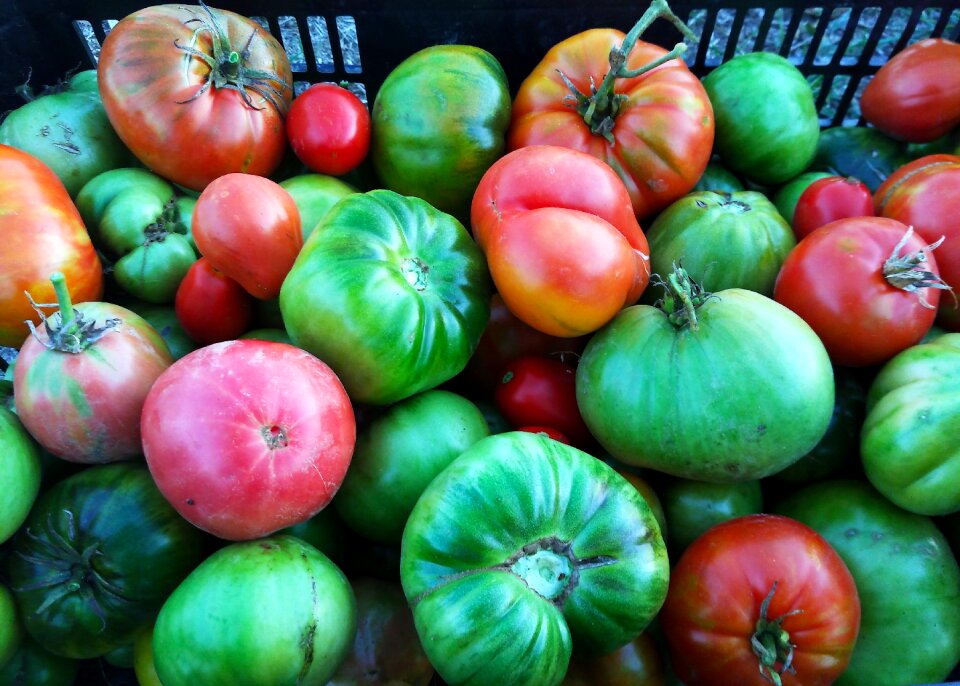 Orchard food vegetable