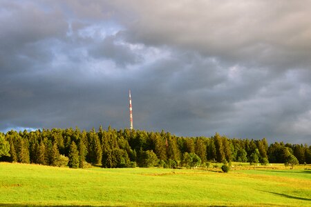 Forest antenna grey