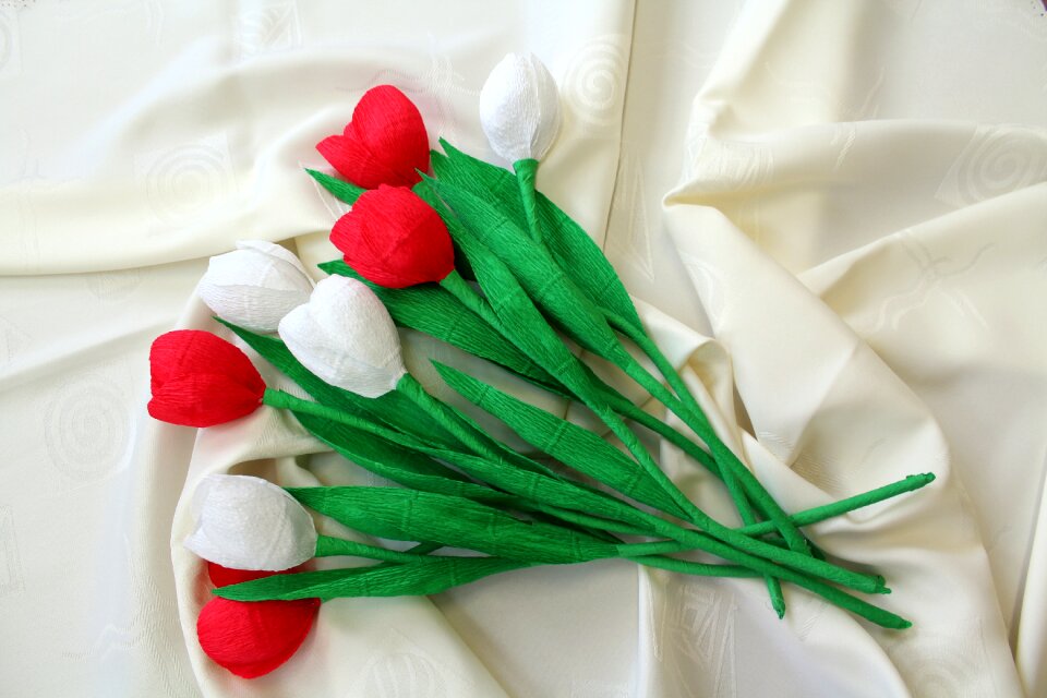 11 nov national colors national day