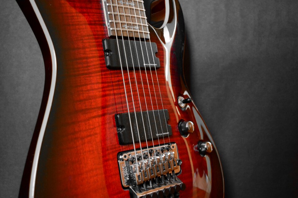 Guitars shcheckter instrument