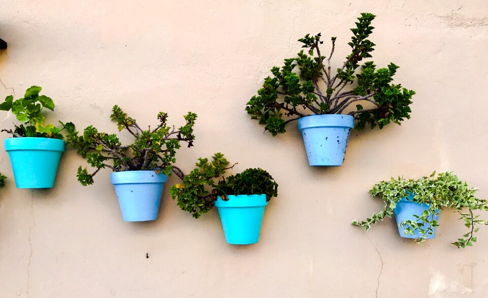 Growth pot environment