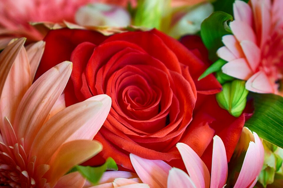 Flowers bouquet