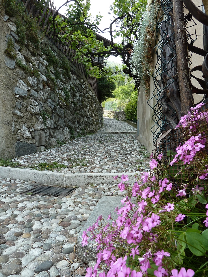 Flora garden alley
