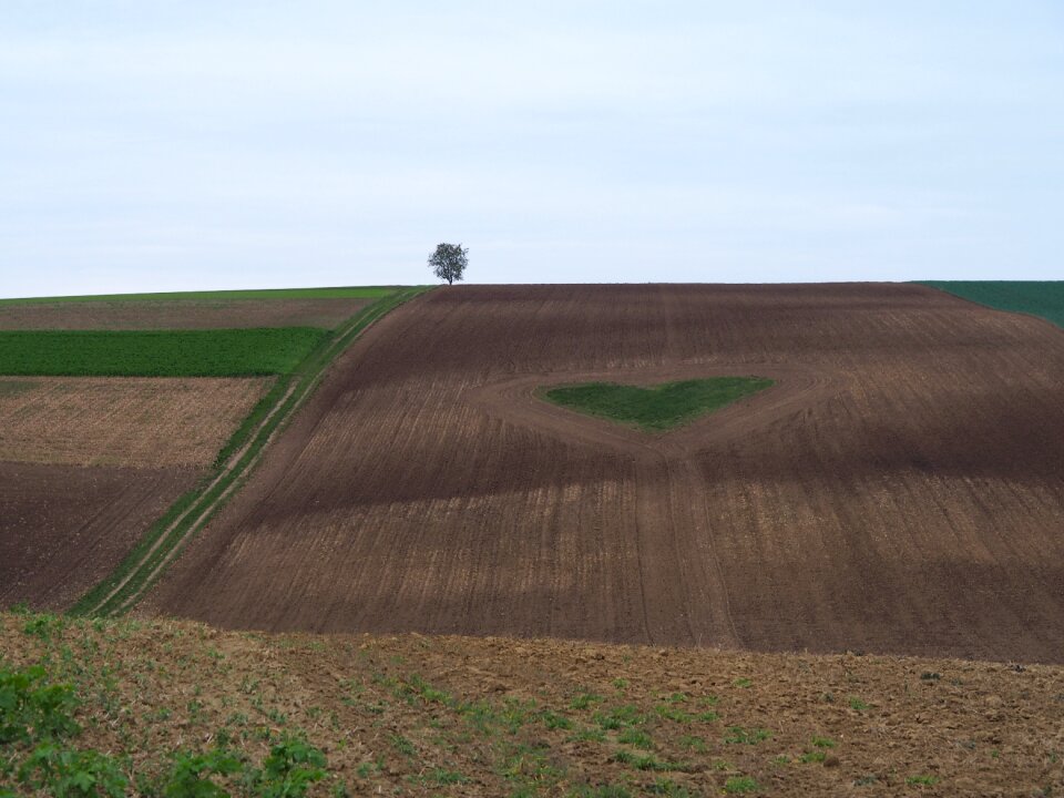 Romance agriculture valentine's day