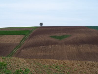 Romance agriculture valentine's day photo