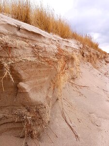 Murals sea sand