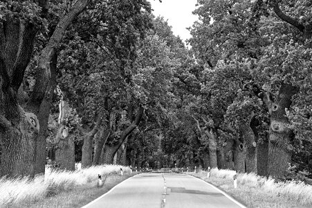 Avenue road mood