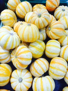 Halloween pumpkin small