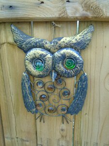 Bird character