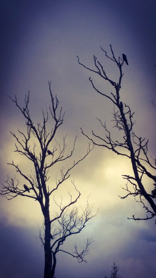 Ghostly spooky night