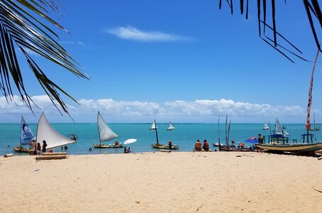 Alagoas beach sol photo