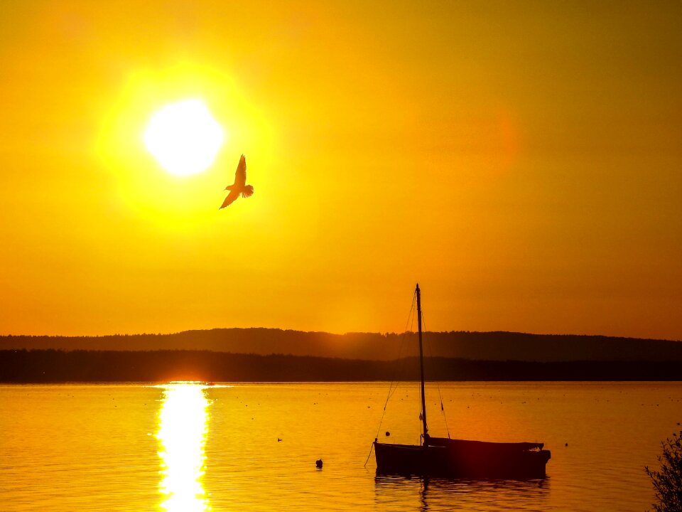 Sunset nature water