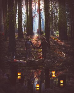 Forest love photo