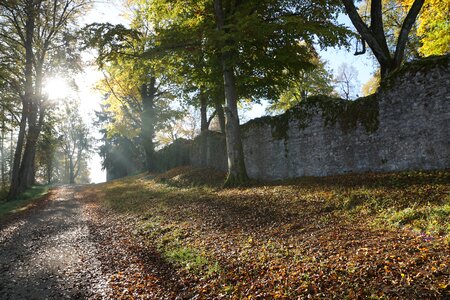 Honing mountain honing castle germany