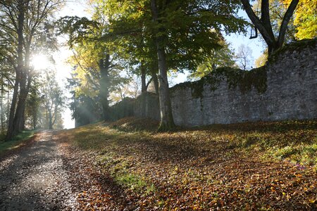 Honing mountain honing castle germany photo