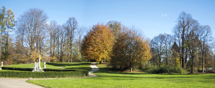 Castle park park in łańcut photo