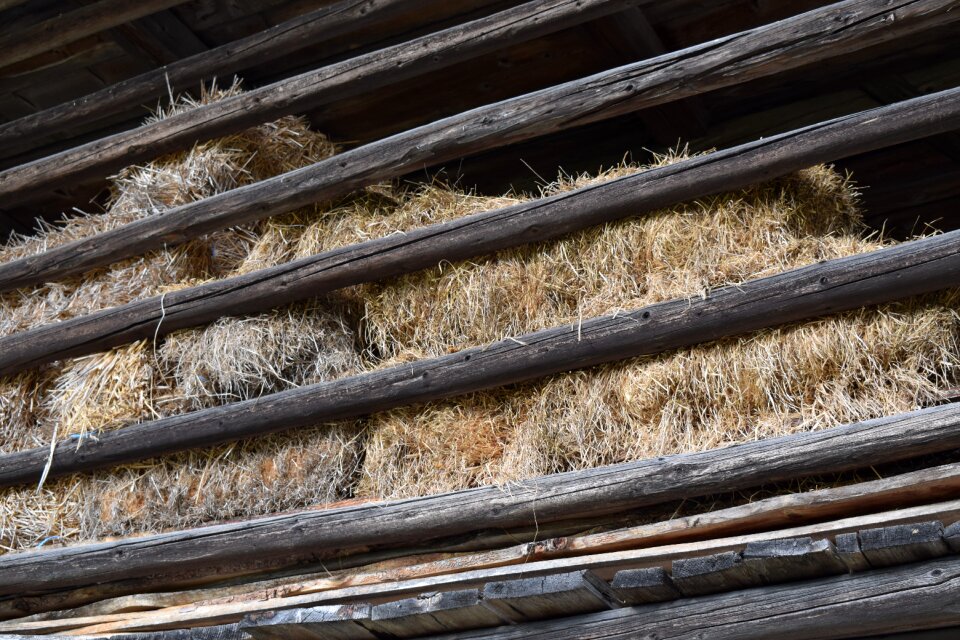 Barn landscape rural