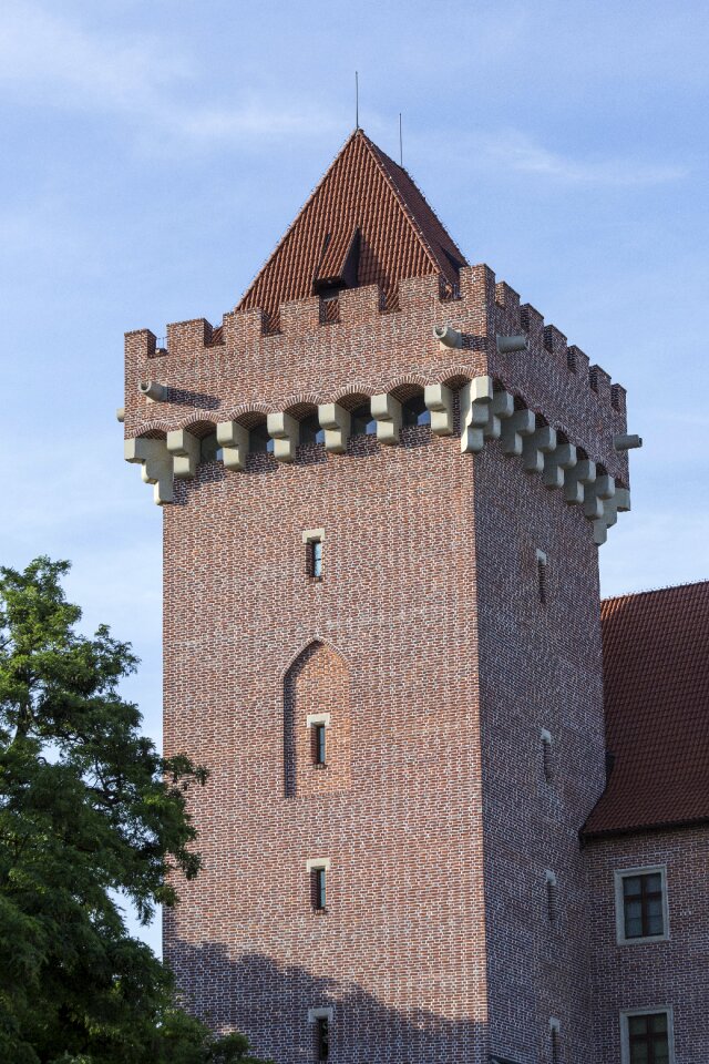 Castle building knight