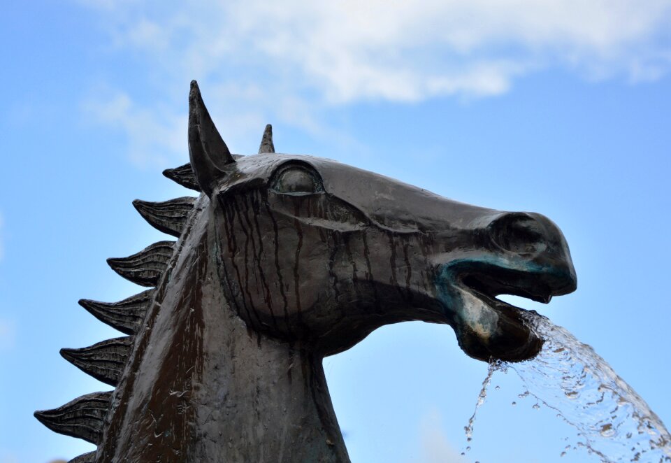Horse water fountain horse lamballe