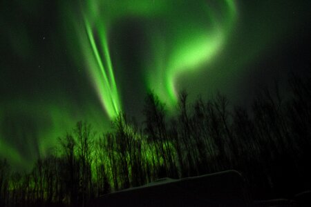 Night green night photo