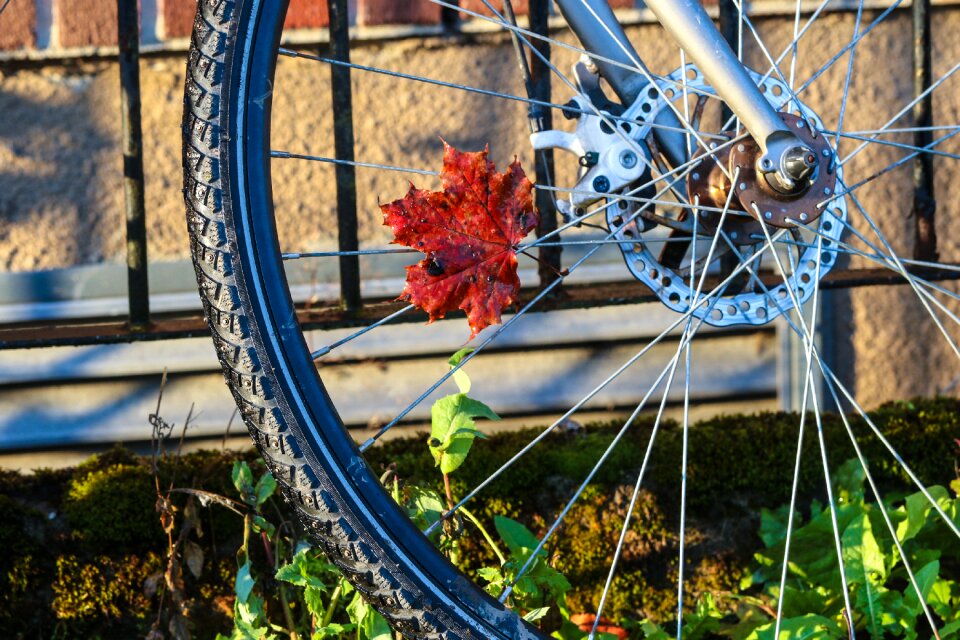 Leaf cycle bicycle