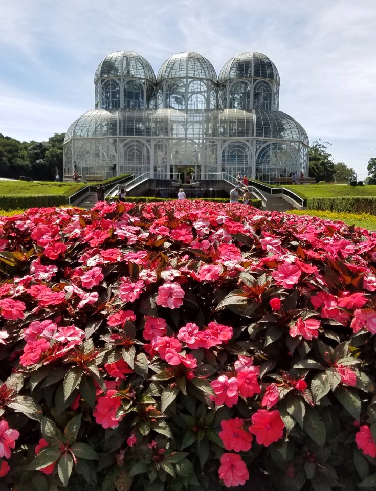Flowers greenhouse tourism